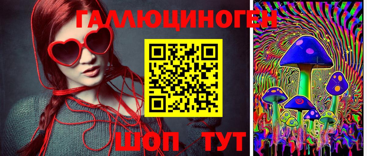 Псилоцибиновые грибы мицелий  Вход с VPN  Людиново 