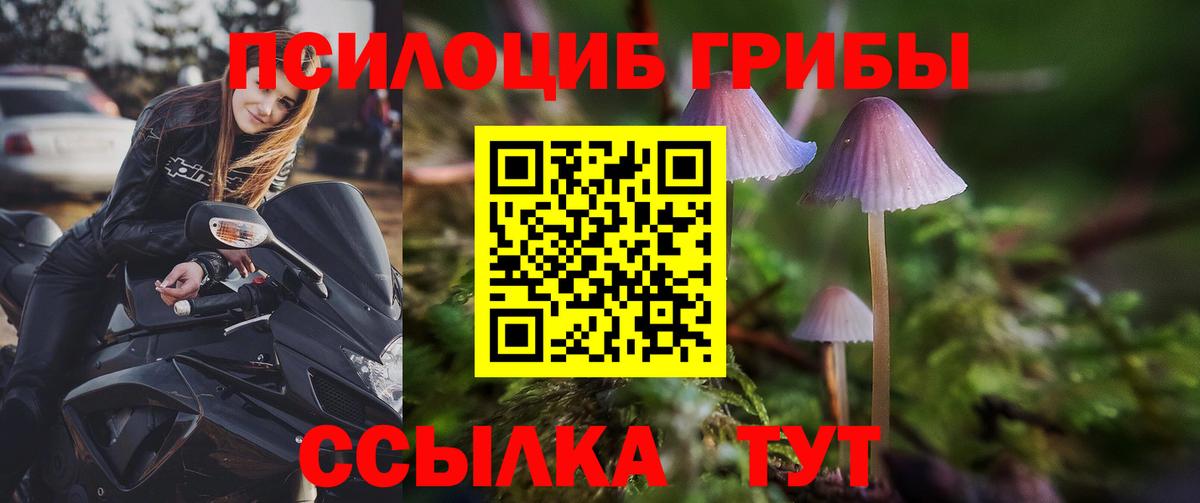 Псилоцибиновые грибы ЛСД Людиново